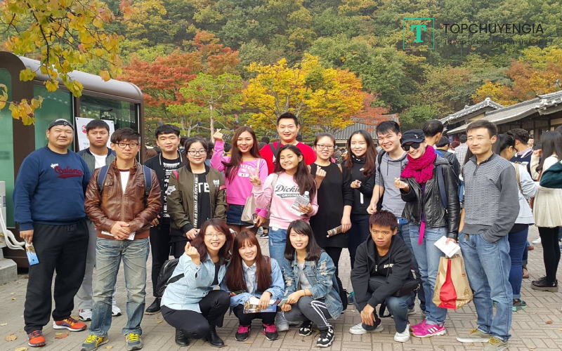Những buổi dã ngoại, tham quan được tổ chức cho du học sinh tại Hàn để gắn kết nhau hơn